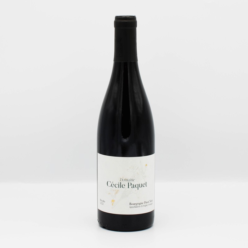 Domaine Cécile Paquet Bourgogne Pinot Noir 1