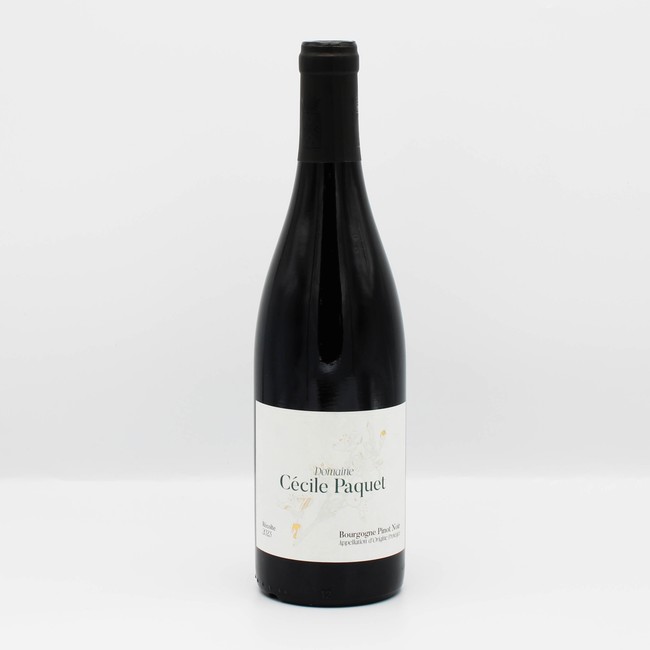 Domaine Cécile Paquet Bourgogne Pinot Noir